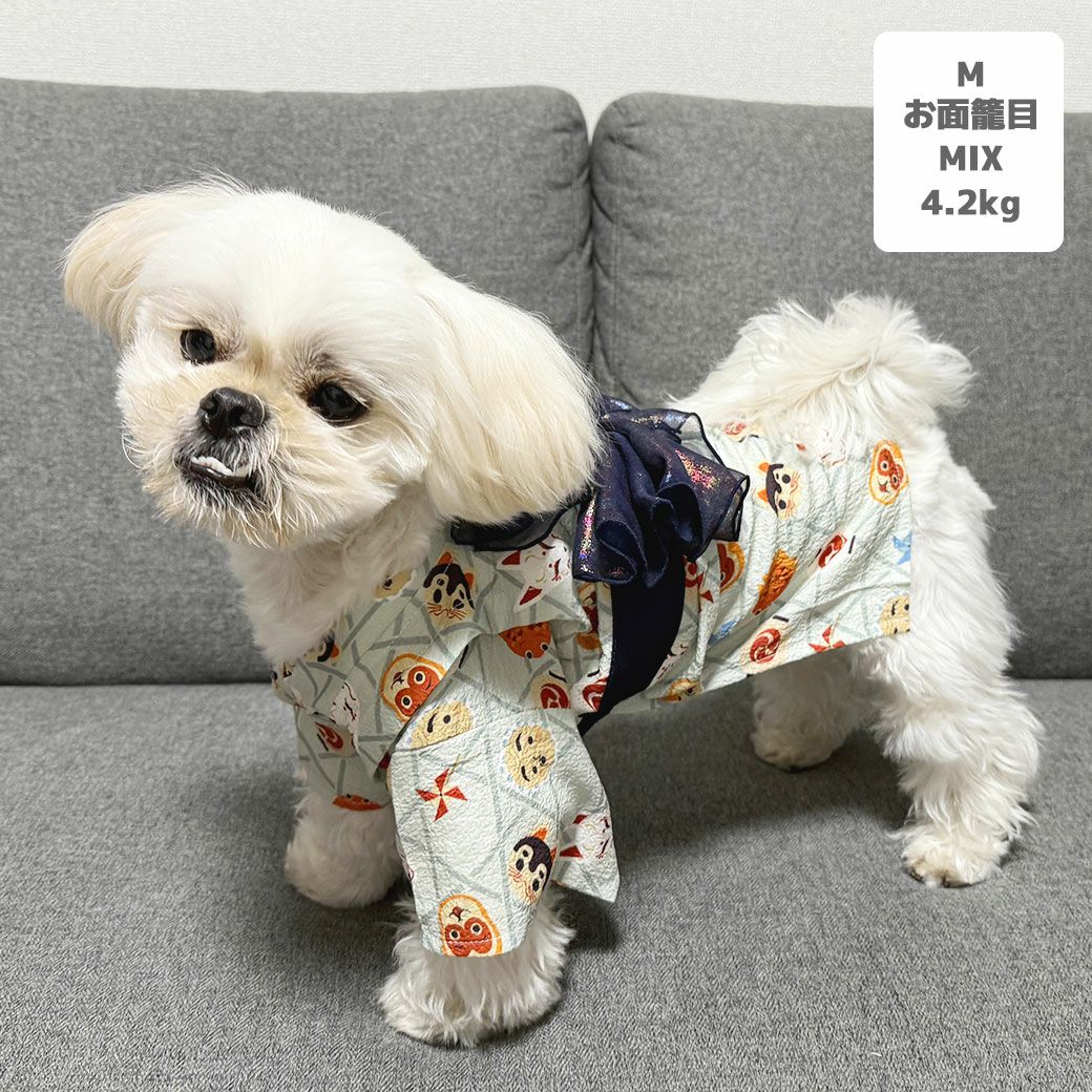 MIX4.2kg(首24/胴38/丈30cm)のとろろくんはお面籠目のMを着用