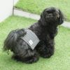 【 マーキング防止 犬 服 】iDog マナーバンド 裏毛ボーダー×ボーダー アイドッグ メール便OK