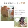 カシャカシャ音が猫ちゃんの興味を惹きつける