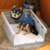 【 犬 トイレ 】iDog HACK 愛犬のためのインテリアトイレ CONTAINER レギュラーサイズ アイドッグ