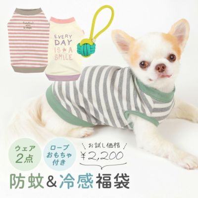 Idog ひんやりお試し福袋 2点入り オリジナルバッグ付き 犬猫ペット用品通販のidog Icat ペット 犬 服