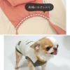 愛犬の着心地を最優先に考えたドッグウェア