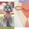 長くつかえる耐久性の高い仕様のドッグウェア