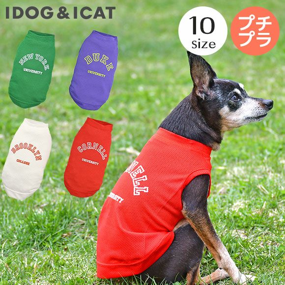 iDog カレッジロゴメッシュタンク アイドッグ