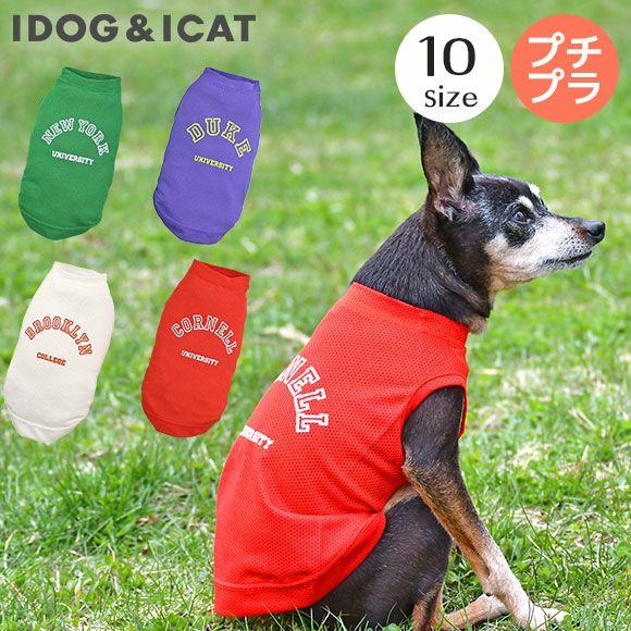 Idog カレッジロゴメッシュタンク アイドッグ 犬猫ペット用品通販のidog Icat ペット 犬 服