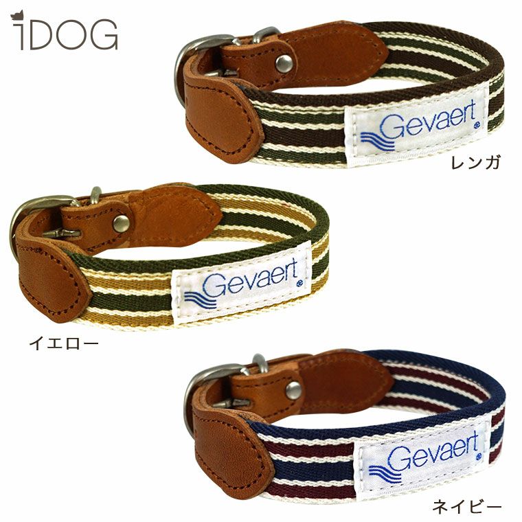 Gevaert×iDog 犬用首輪 ボーダー アイドッグ-犬猫ペット用品通販のIDOGICAT|ペット 犬 首輪