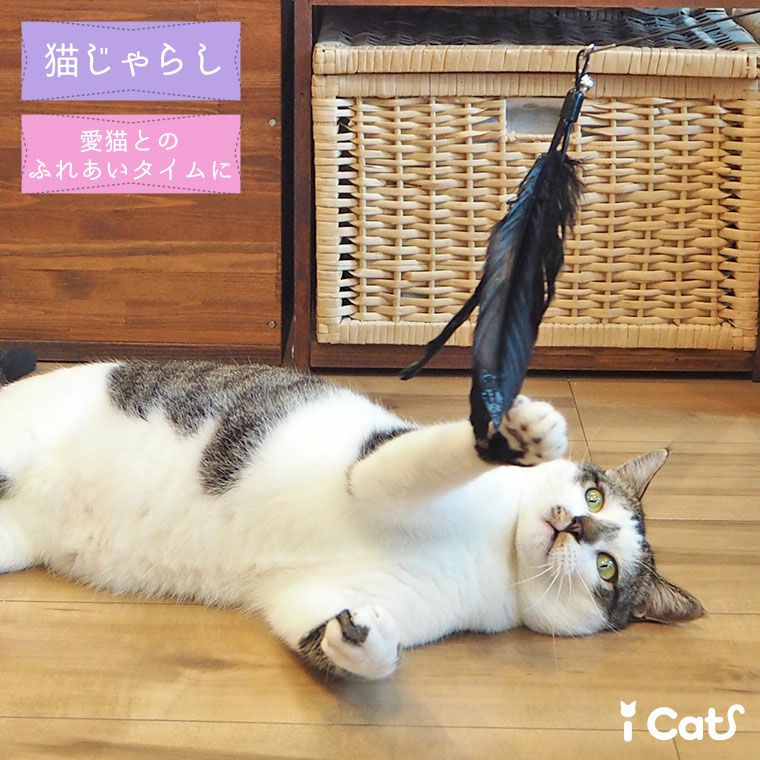 にゃあ　ブルーアイ猫　ネコ　ブルーダイヤ　ブローチ兼ペンダント にゃあ様専用 ブルーアイ猫 ネコ ブルーダイヤ ブローチ兼