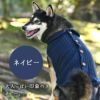 柴犬8.8kg(首34/胴50/丈38cm)の凪ちゃんはネイビーのXXLを着用