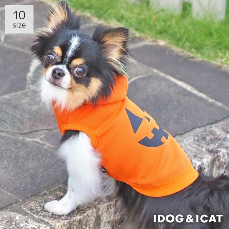 おいしい！かわいい！愛犬とおうちハロウィンアイデア集・レシピ