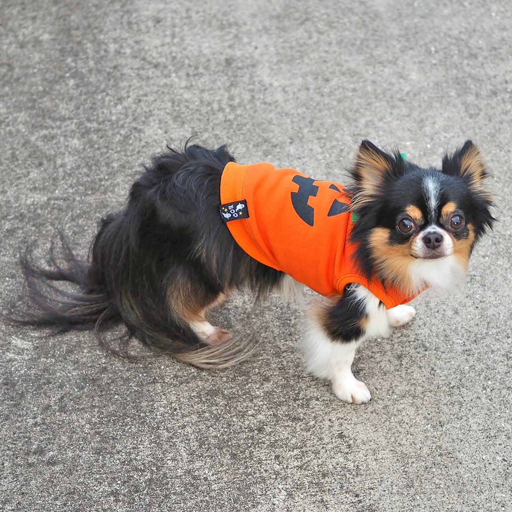 ノースリーブで動きやすい