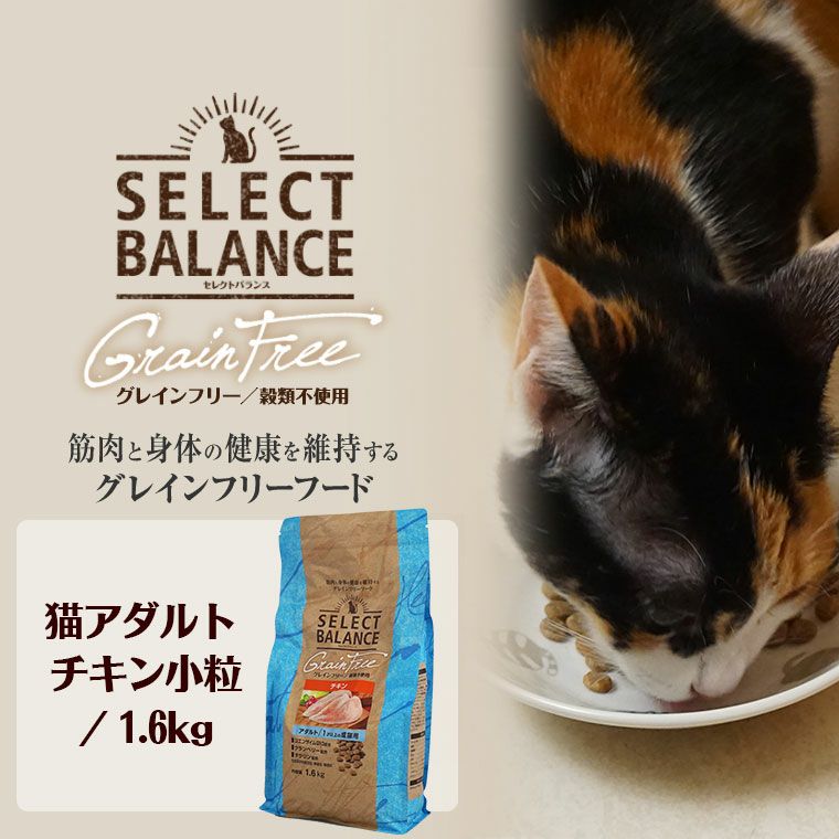 セレクトバランス グレインフリー アダルト チキン １才以上の成猫用