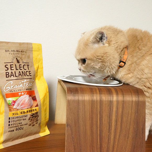 アダルトタイプよりもカロリーが約10％減