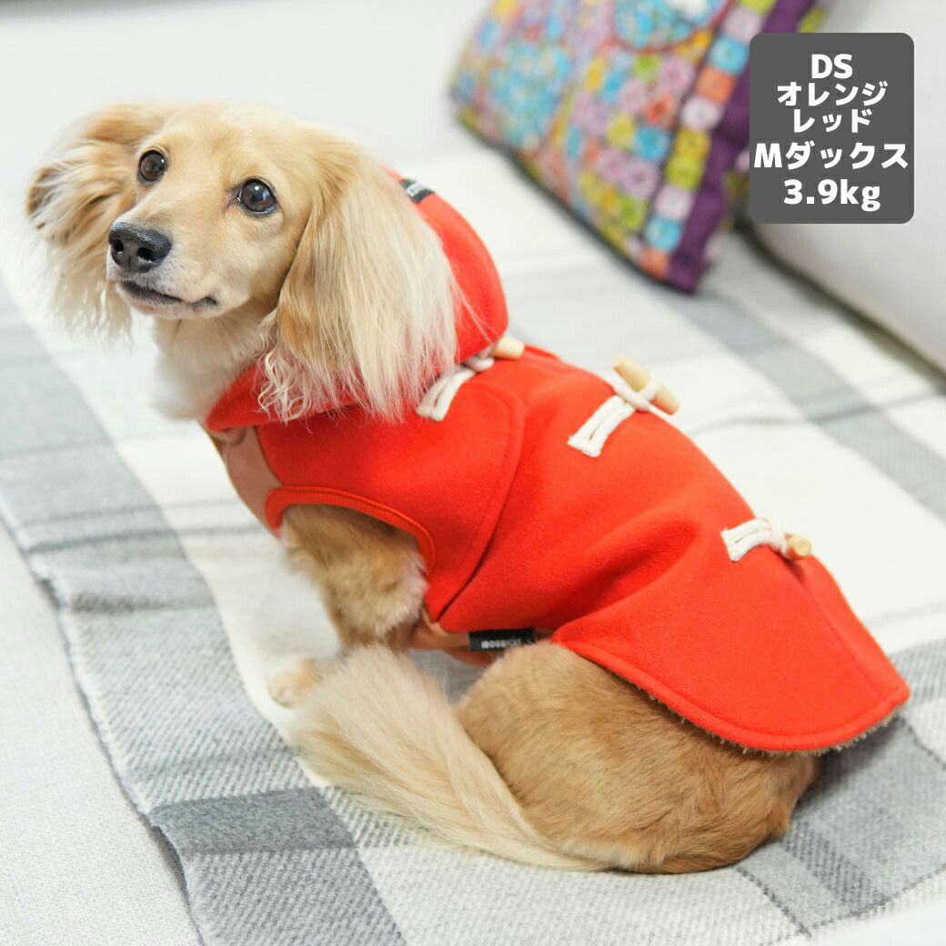 ミニチュアダックス3.9kg(首25/胴37/丈31cm)のクムちゃんはオレンジレッドのDSを着用