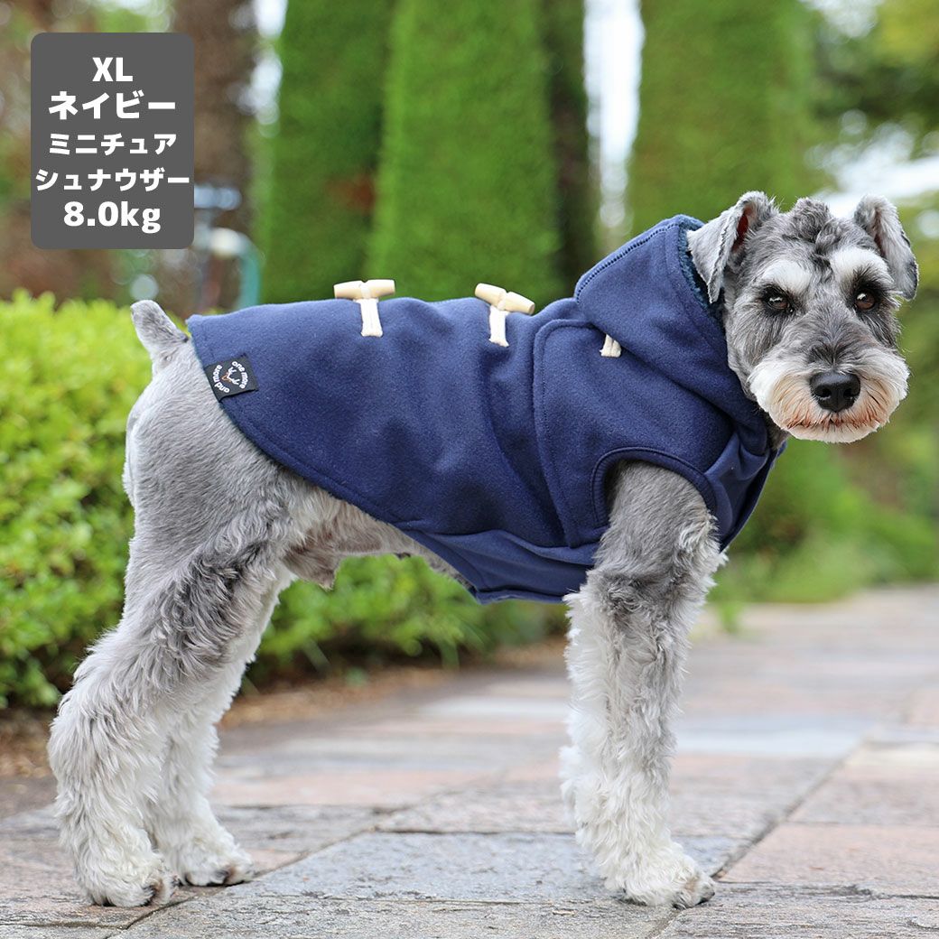 ミニチュアシュナウザー8.0kg(首30/胴48/丈37cm)のマハロくんはネイビーのXLを着用