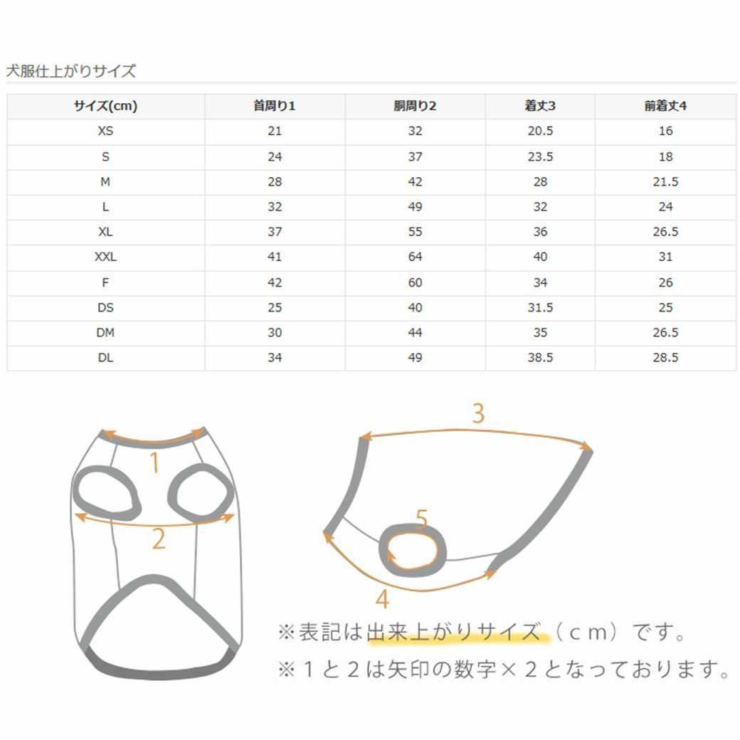 サイズ表