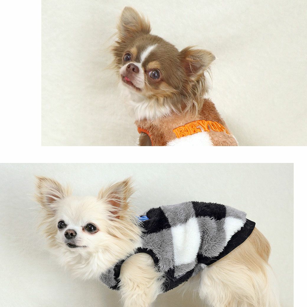 おしゃれなロゴ入り