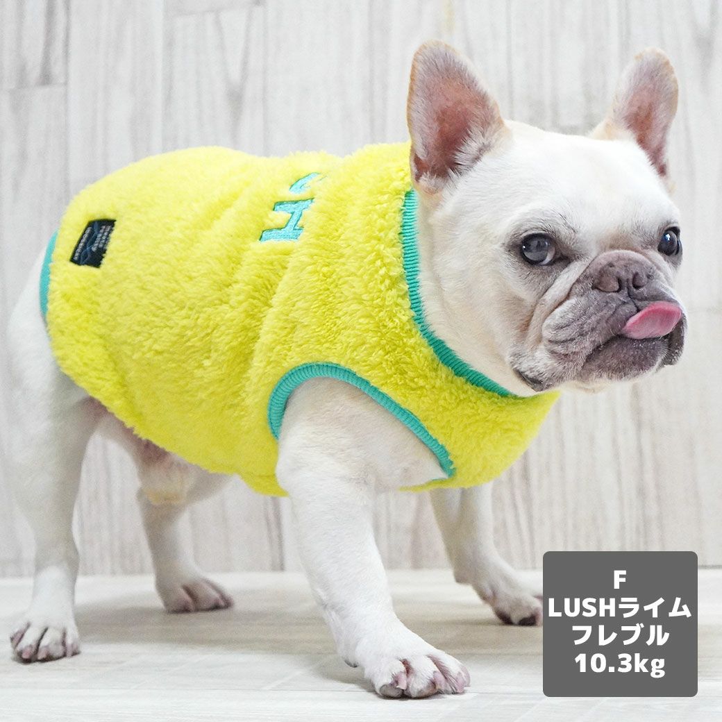 フレブル10.3kg(首38/胴56/丈34cm)のブランくんはLUSHライムのFを着用