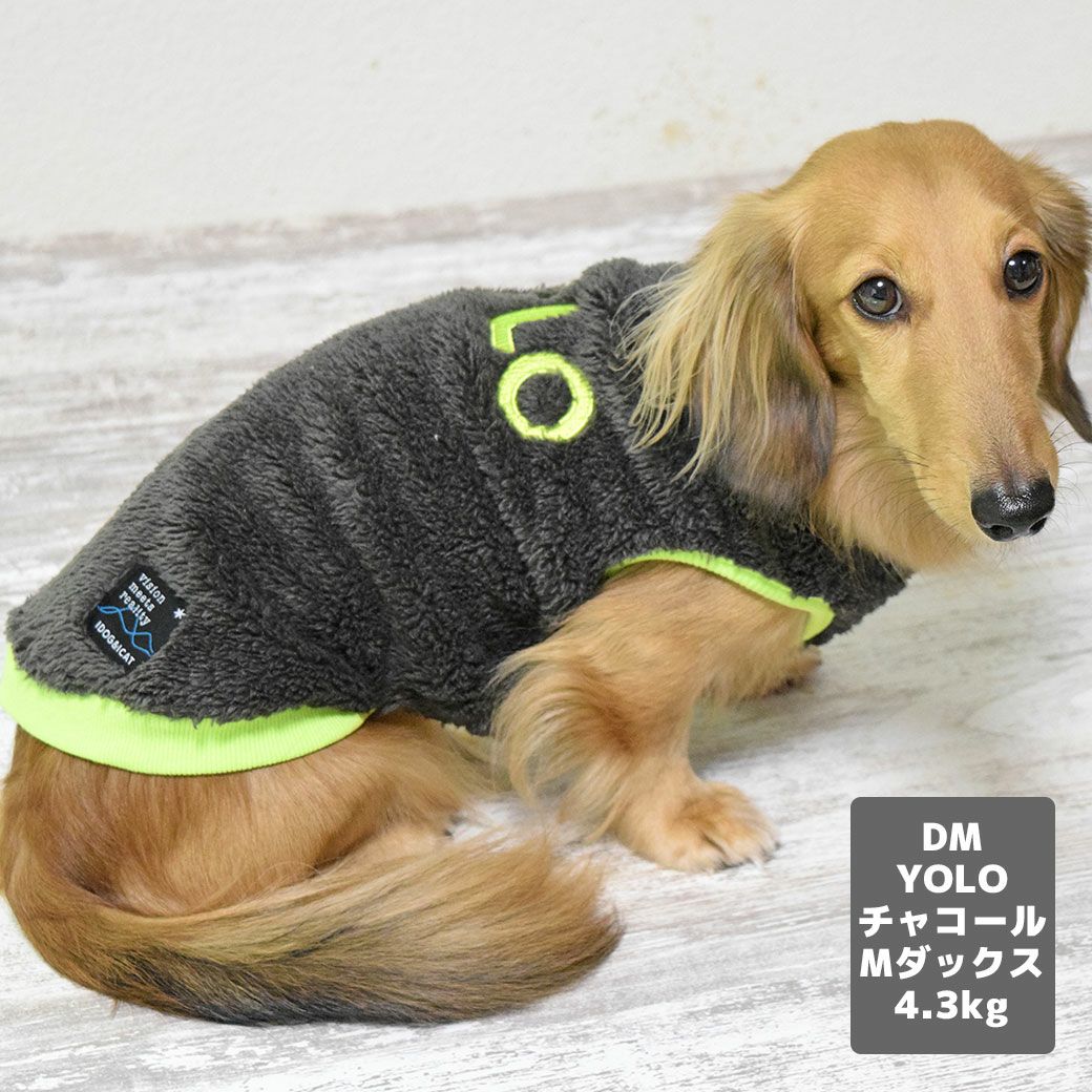 ミニチュアダックス4.3kg(首27/胴40/丈33cm)のALFaくんはYOLOチャコールのDMを着用