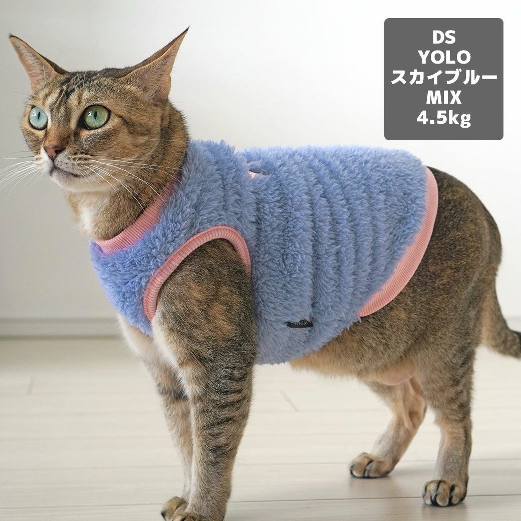 MIX4.5kg(首21/胴36/丈34cm)のニコちゃんはYOLOスカイブルーのDSを着用