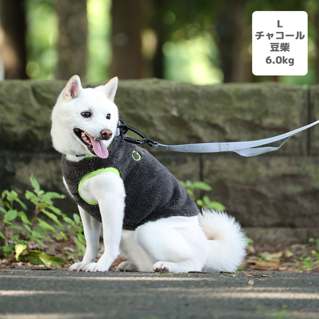 MIX4.5kg(首21/胴36/丈34cm)のニコちゃんはYOLOスカイブルーのDSを着用