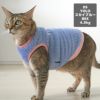 MIX4.5kg(首21/胴36/丈34cm)のニコちゃんはYOLOスカイブルーのDSを着用