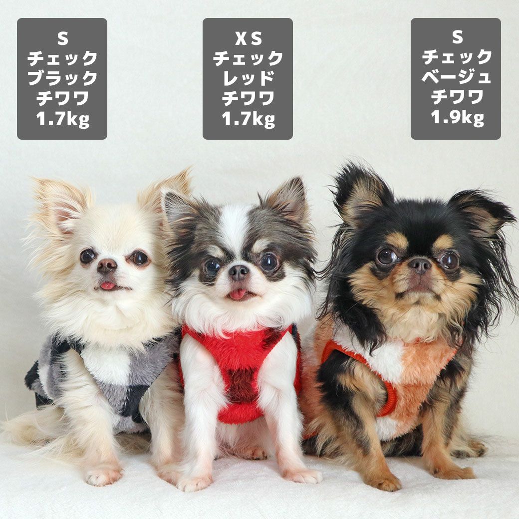 チワワ1.7kg(首18/胴27.5/丈22cm)のトロくんはチェックブラックのS、1.7kg(首18/胴27.5/丈18cm)の小真知ちゃんはチェックレッドのXS、1.9kg(首19/胴29.5/丈21.5cm)のウメちゃんはチェックベージュのSを着用