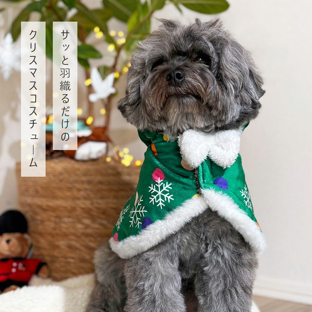 クリスマスケープ