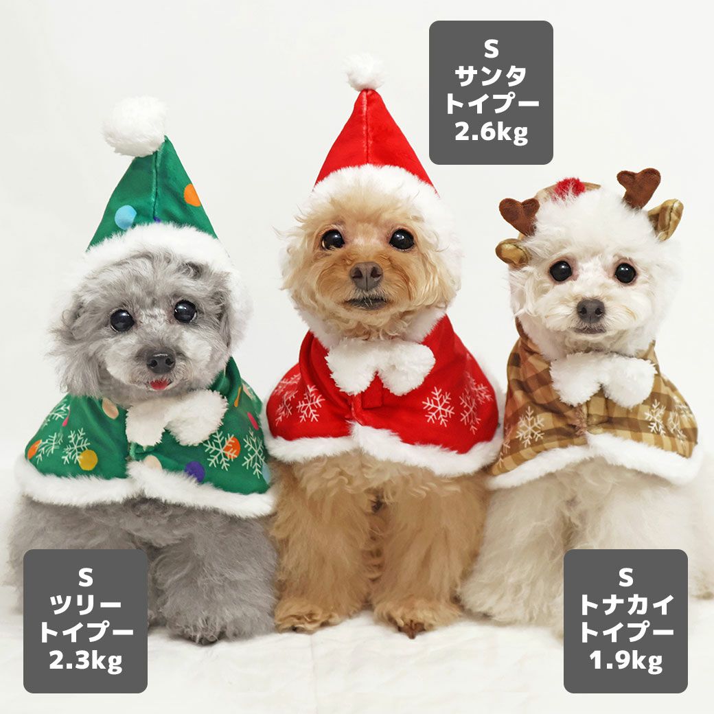 トイプー2.3kg(首18/胴31/丈24cm)のメルシーちゃんはツリーのSを、トイプー2.6kg(首20/胴32/丈25cm)のマイちゃんはサンタのSを、トイプー1.9kg(首17/胴29/丈22cm)のメリナちゃんはトナカイのSを着用