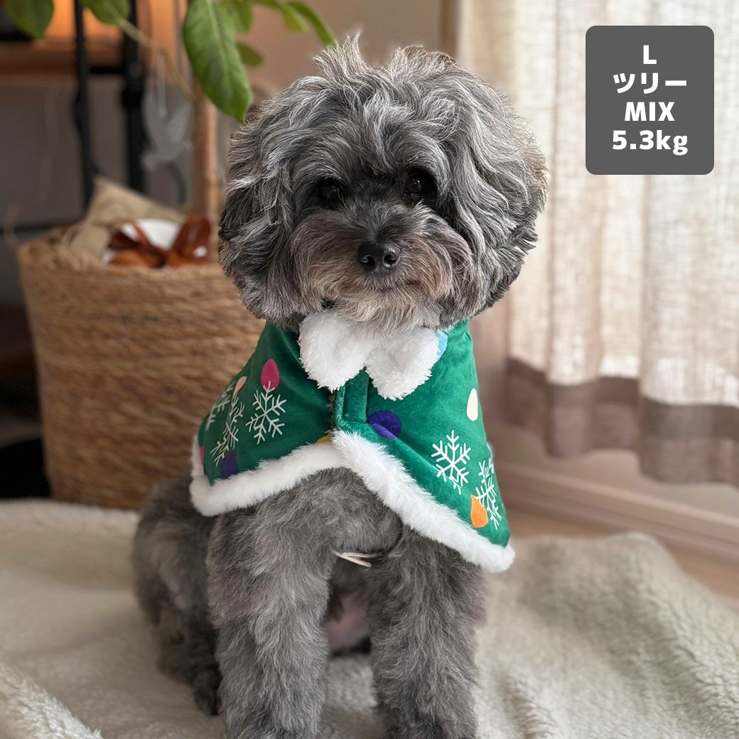 MIX5.3kg(首28/胴42/丈35cm)のごまくんはツリーのLを着用