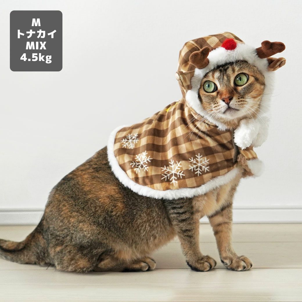 MIX4.5kg(首21/胴36/丈34cm)のニコちゃんはトナカイのMを着用
