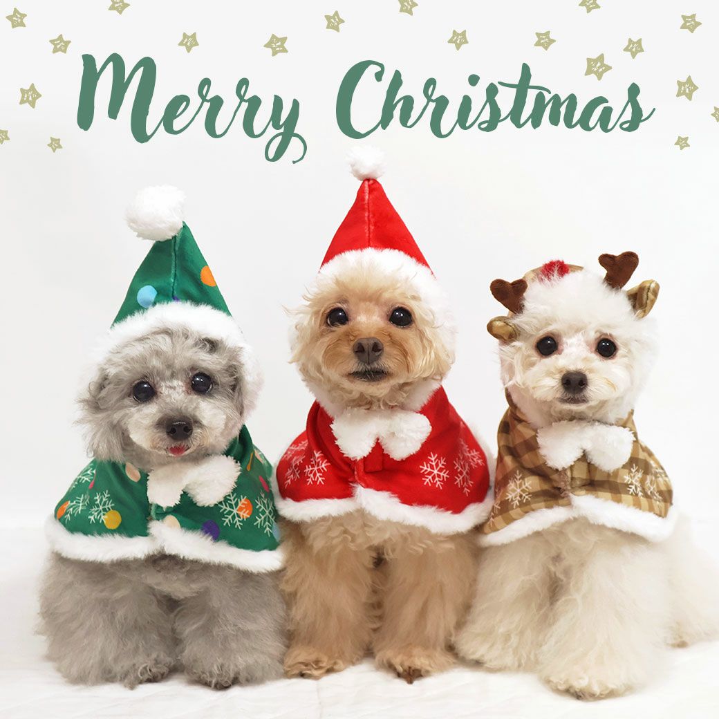 楽しいクリスマスシーズンにピッタリのケープ