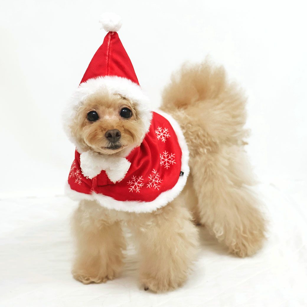 ハッピーを届けるサンタに変身！