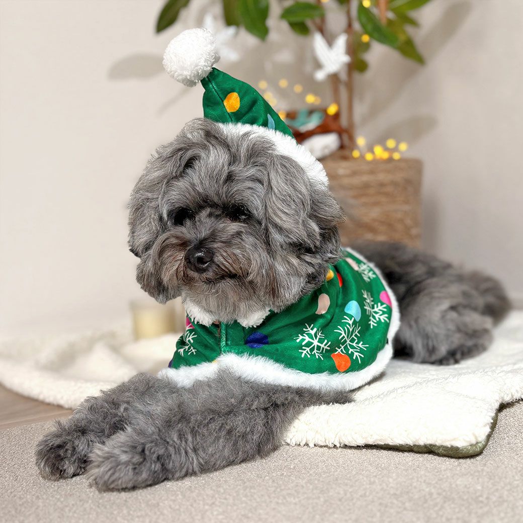 ツリーイメージのキュートなデザイン