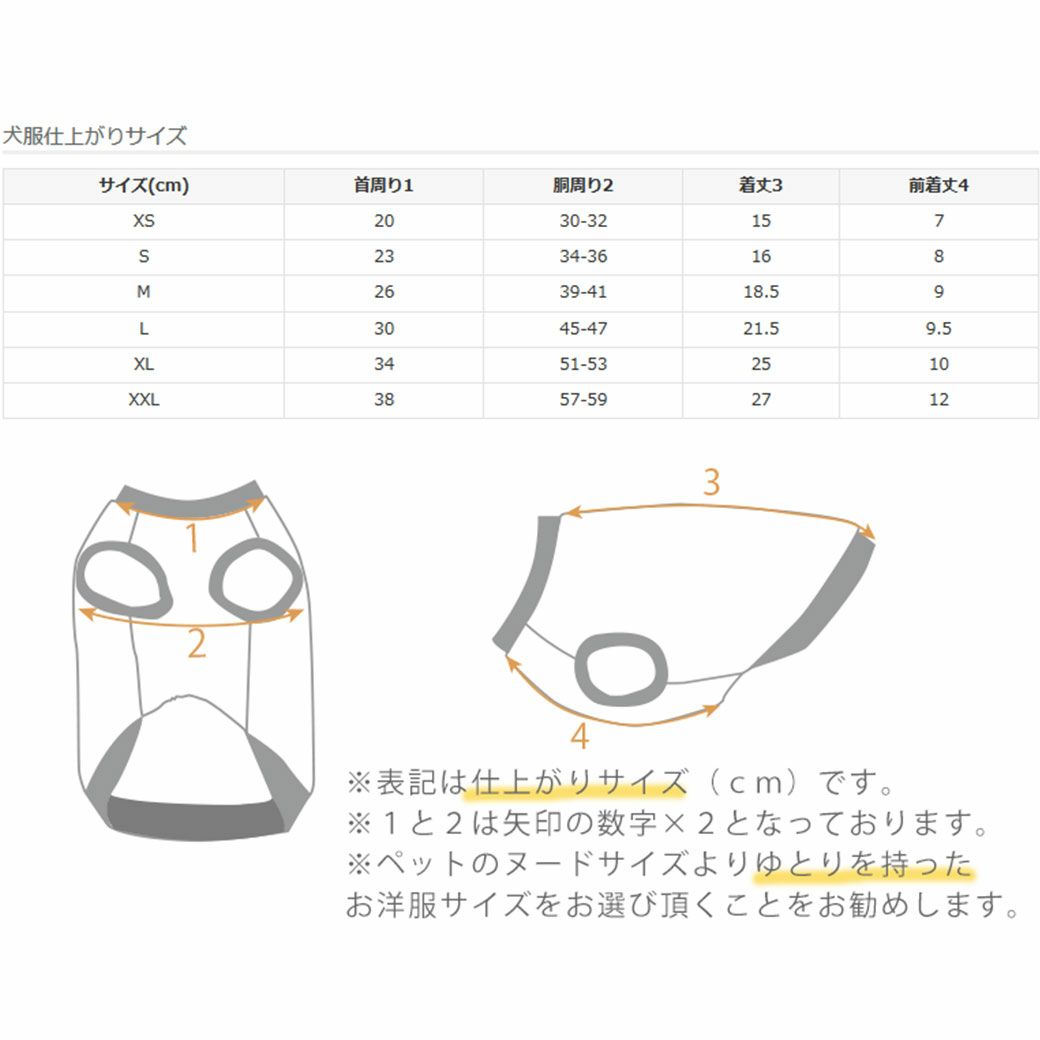 サイズ表