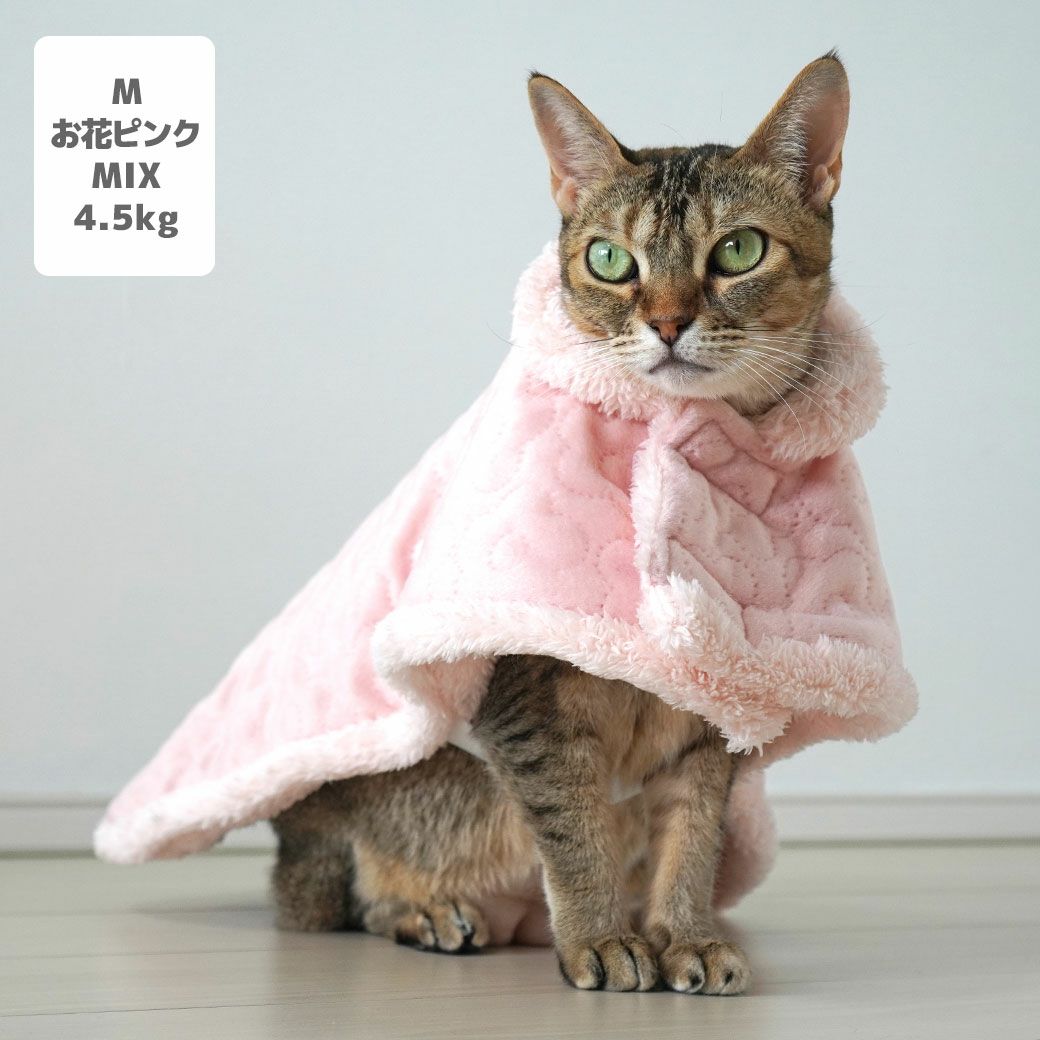MIX4.5kg(首21/胴36/丈34cm)のニコちゃんはお花ピンクのMを着用