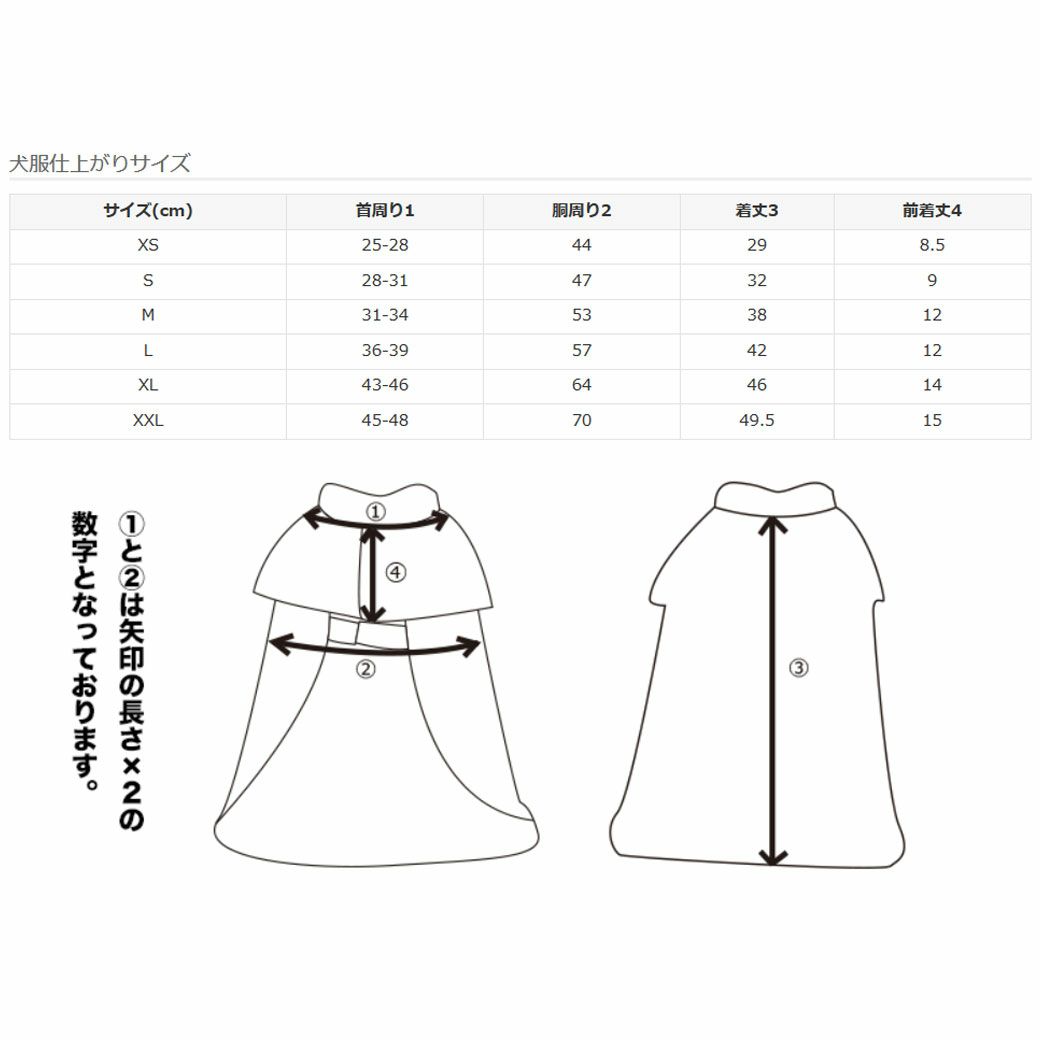 サイズ表