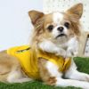 カラフルなアウターでお散歩が楽しみ