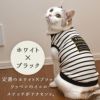 MIX4.0kgのえのきちゃんはホワイト×ブラックのDSを着用
