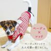 ジャックラッセルテリア4.5kg(首26/胴41/丈29cm)のまりもちゃんはベージュ×レッドのLを着用