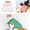 iDogオリジナルの和柄で可愛くおめでたく！