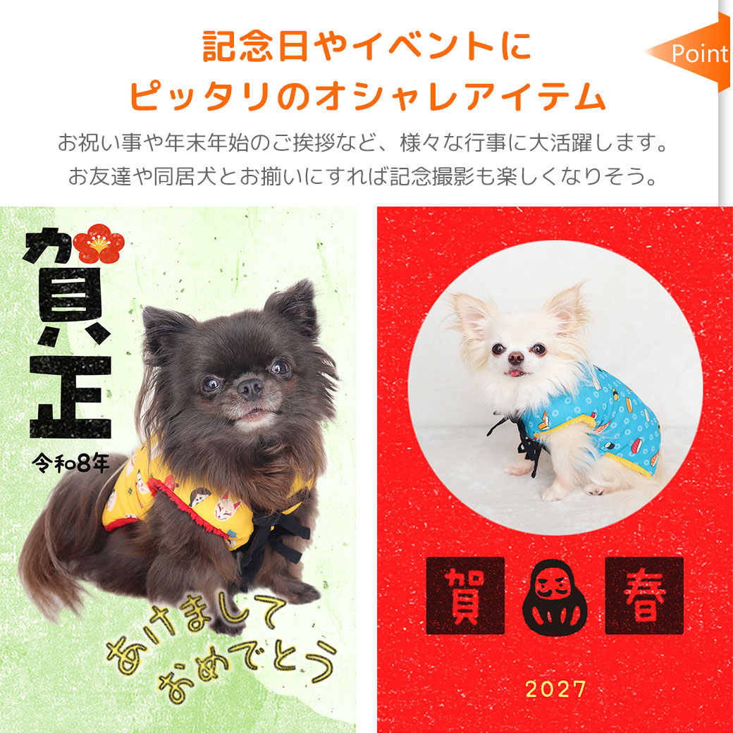 左チワワ2.1kg(首19.5/胴30.5/丈22cm)の玉青ちゃんは玉水彩のSを着用、右チワワ1.7kg(首19/胴28.5/丈21cm)の小桃ちゃんは七宝だるまのSを着用