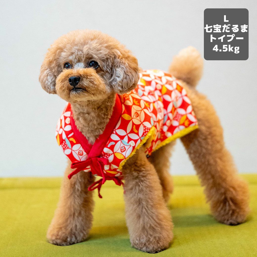 トイプードル4.5kg(首26/胴40.5/丈30cm)の里梨衣ちゃんは七宝だるまのLを着用