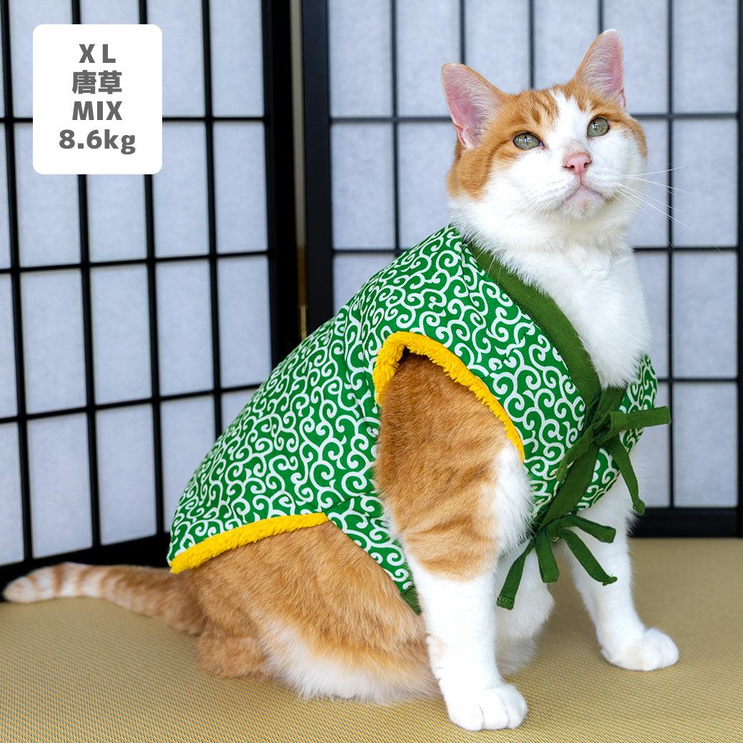 MIX8.6kg(首25/胴54/丈34cm)のゆづるくんは唐草のXLを着用