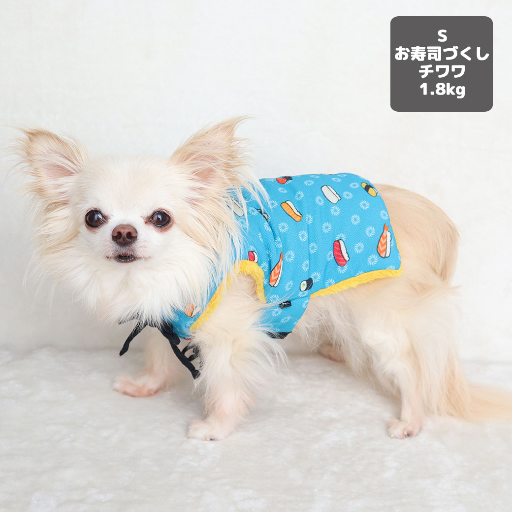 左チワワ1.9kg(首19/胴29.5/丈21.5cm)のウメちゃんは七宝だるまのSを着用、右チワワ1.7kg(首18/胴27.5/丈18cm)の小真知ちゃんは玉水彩のXSを着用