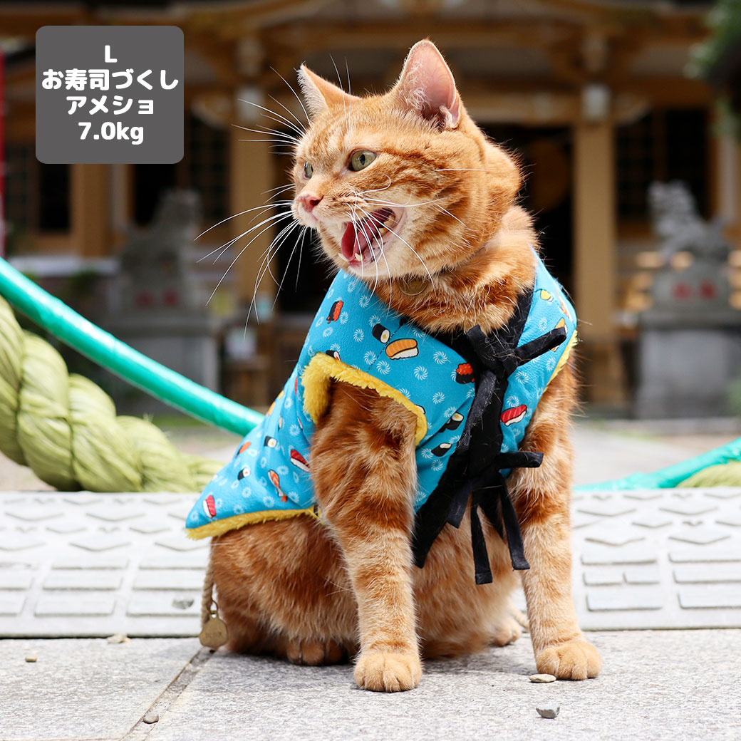 ウェア仕上がりサイズ