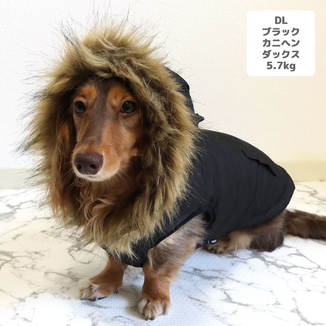 カニヘンダックス5.6kg(首35/胴43/丈37cm)のハクくんはブラックのDLを着用