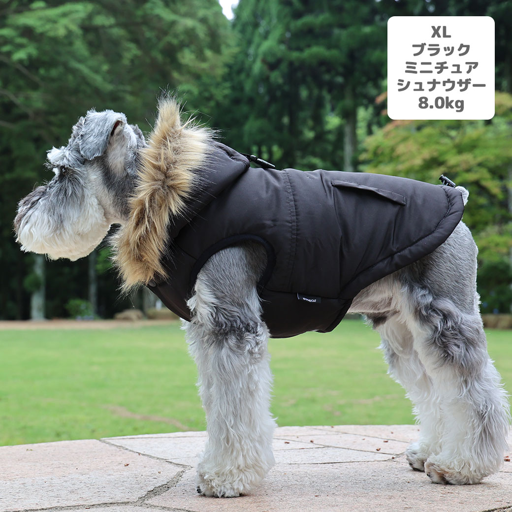 ミニチュアシュナウザー8.0kg(首30/胴48/丈37cm)のマハロくんはブラックのXLを着用