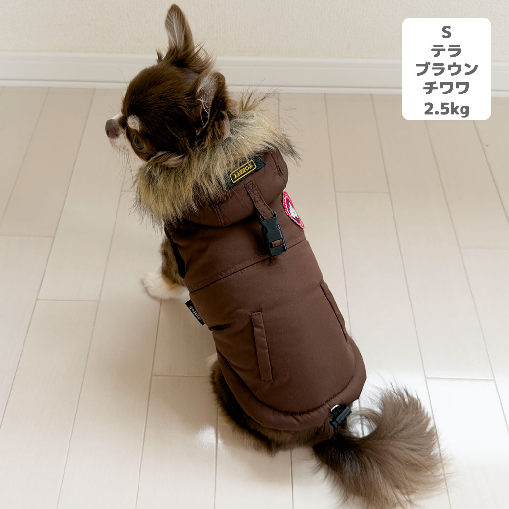 フレブル10.3kg(首38/胴56/丈34cm)のブランくんはキャメルのFを着用
