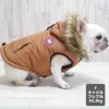 フレブル10.3kg(首38/胴56/丈34cm)のブランくんはキャメルのFを着用