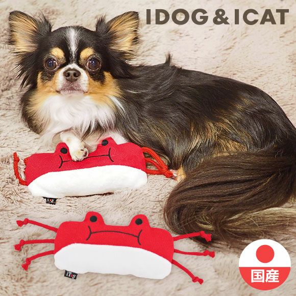 犬が首をかしげる時の気持ちは飼い主と同じ でも右と左では理由が違う Idog Icat